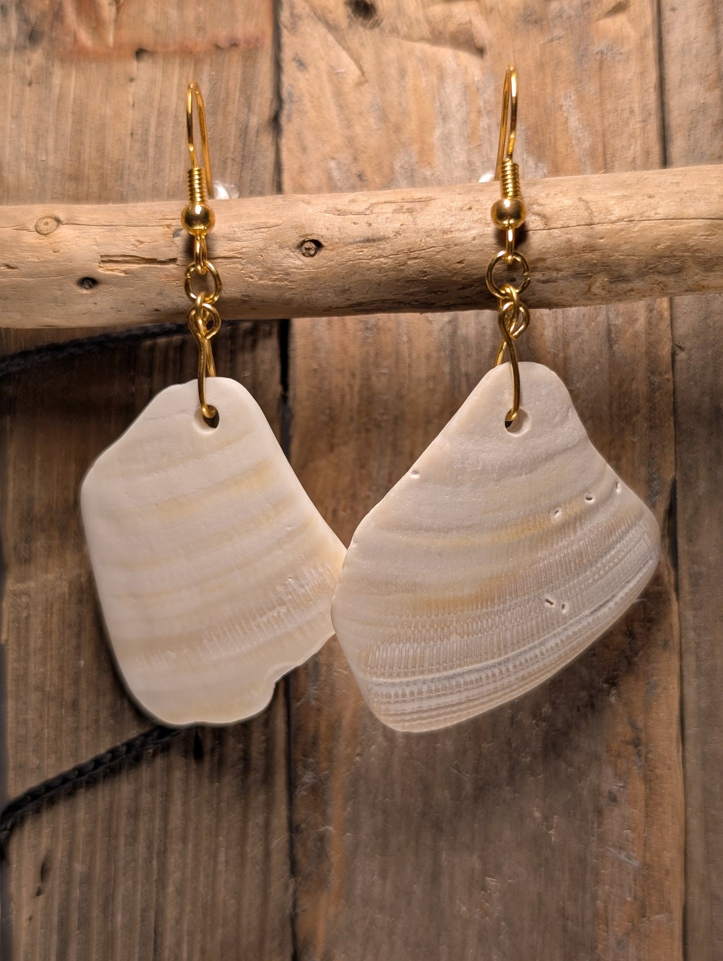 Clam Shell Earrings
