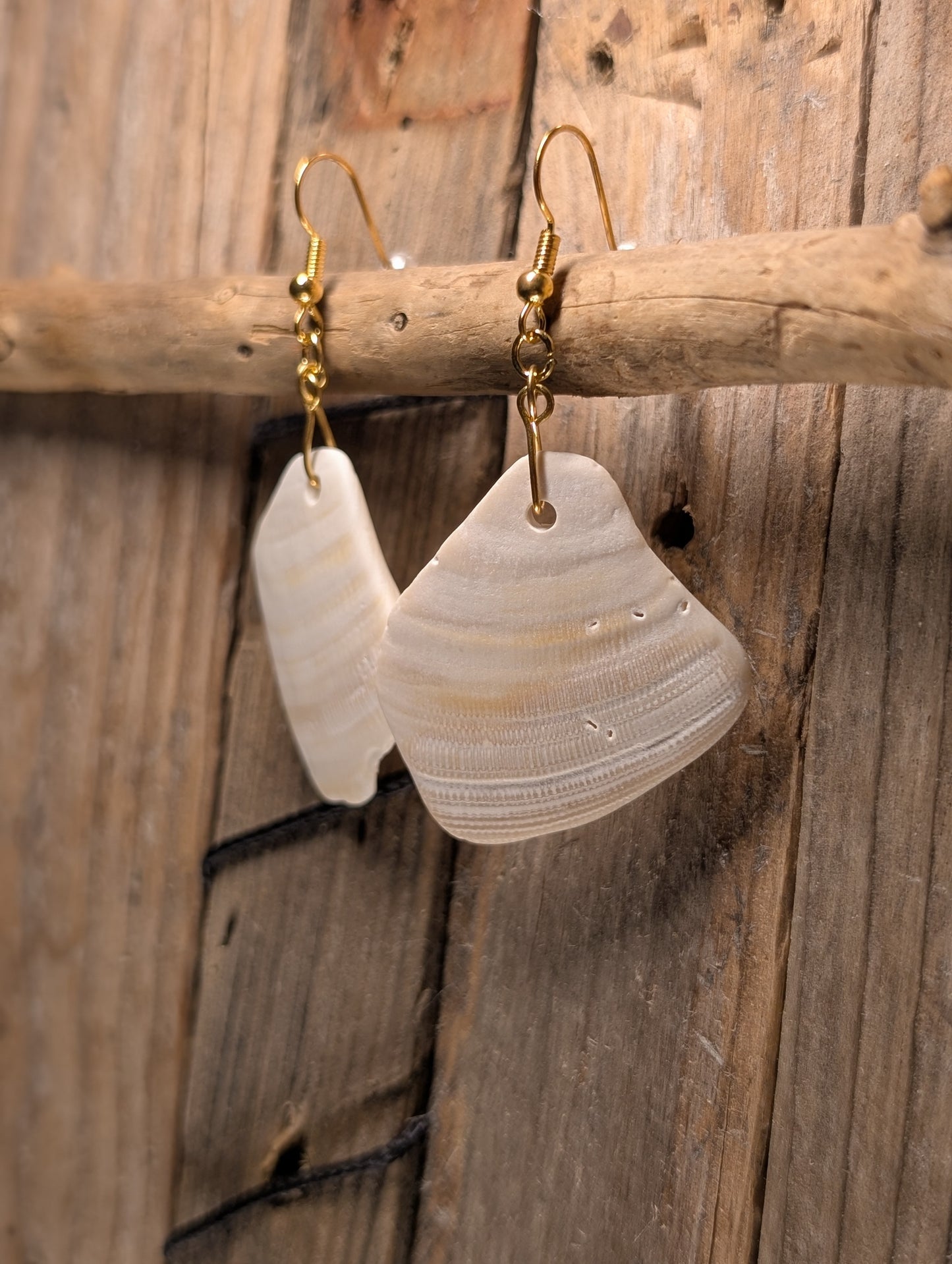 Clam Shell Earrings
