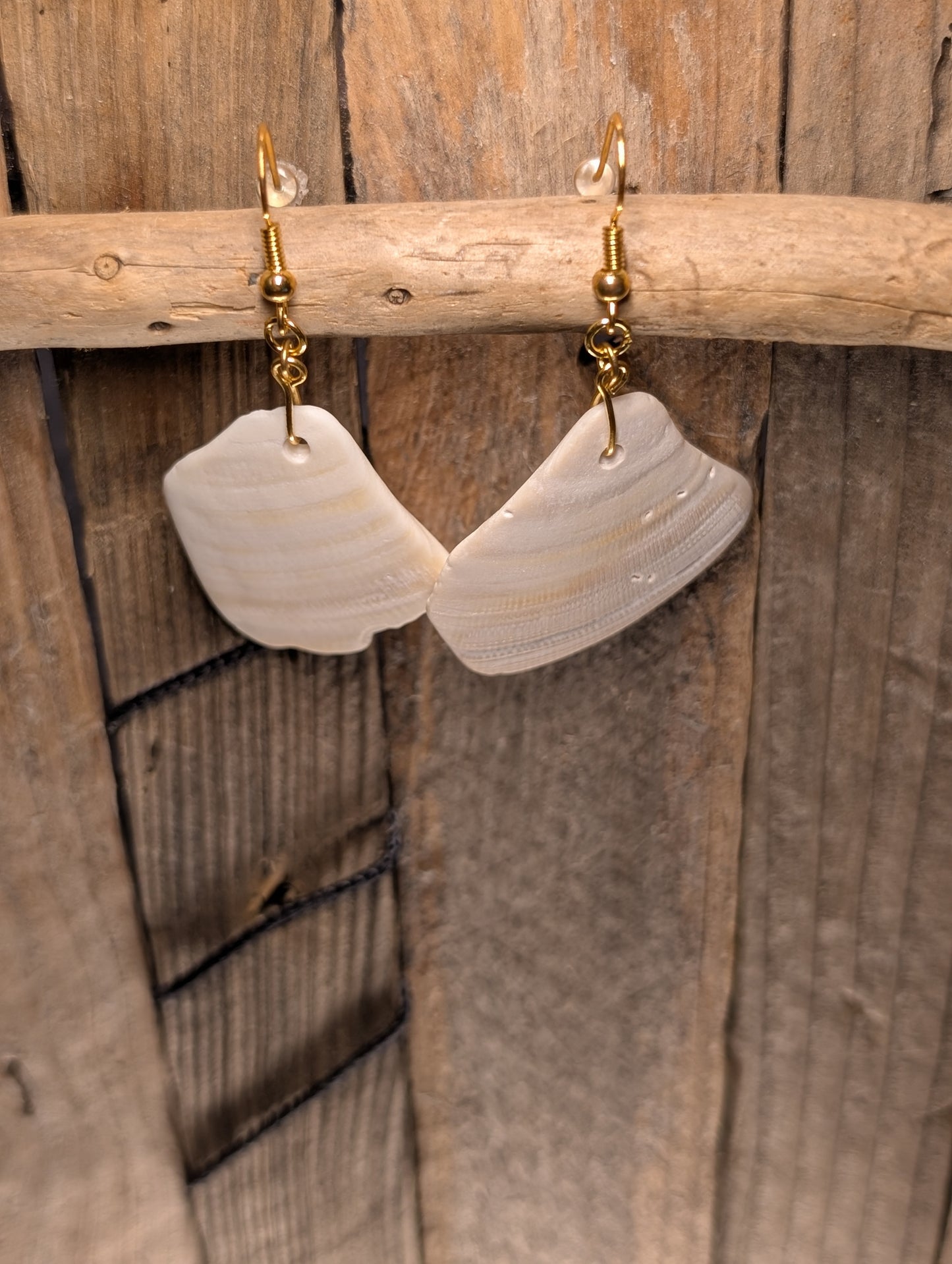 Clam Shell Earrings