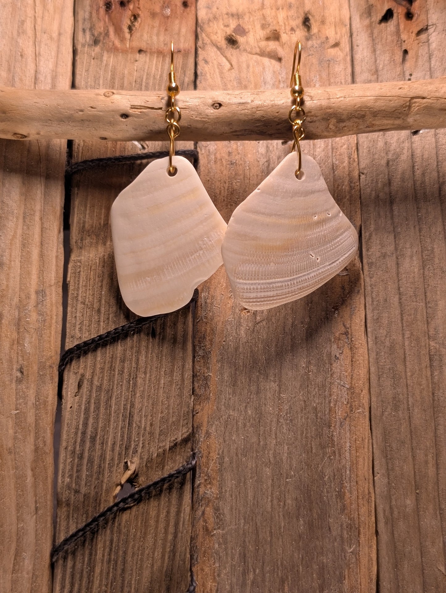 Clam Shell Earrings