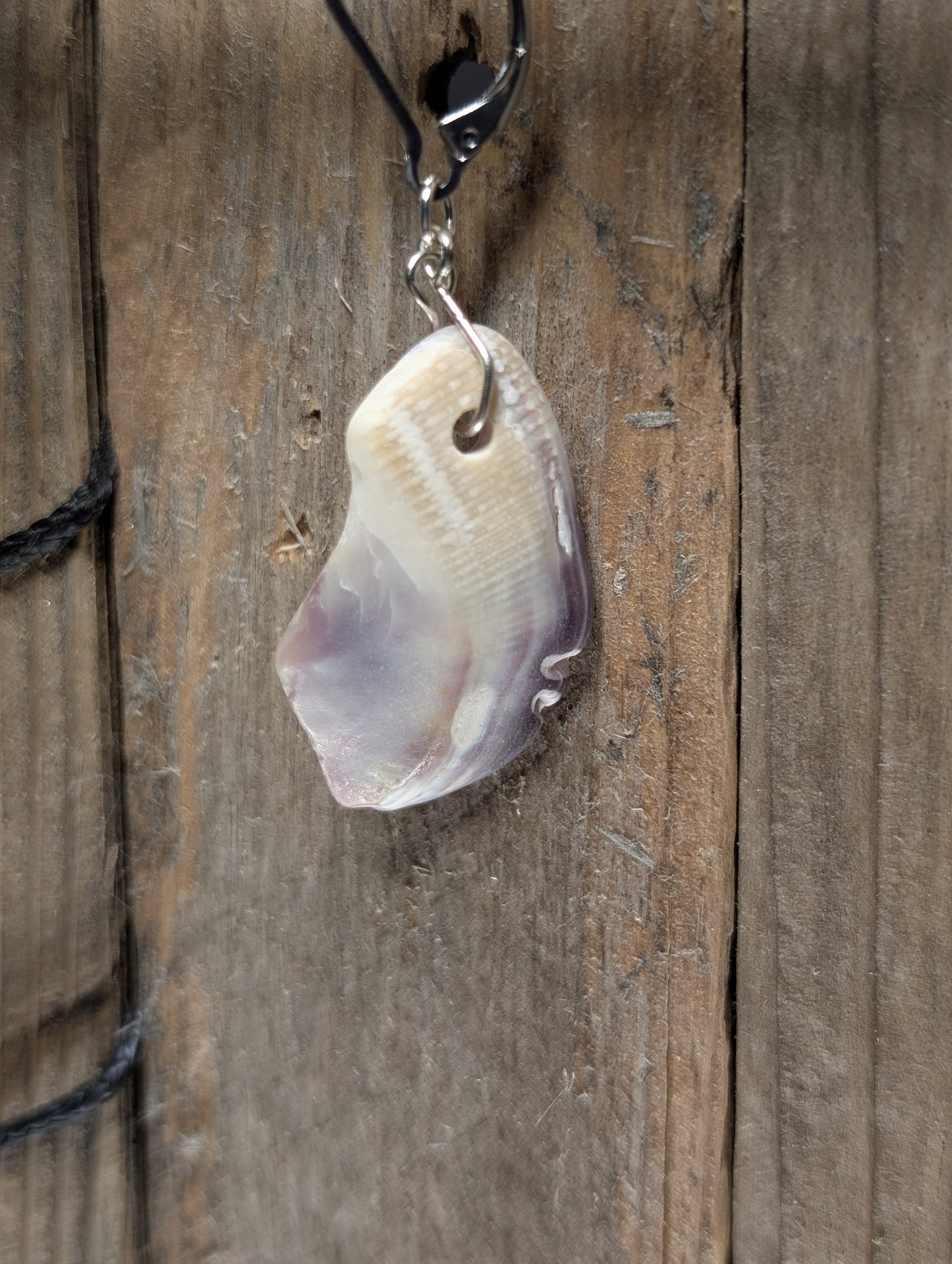 Statement Shell Earrings