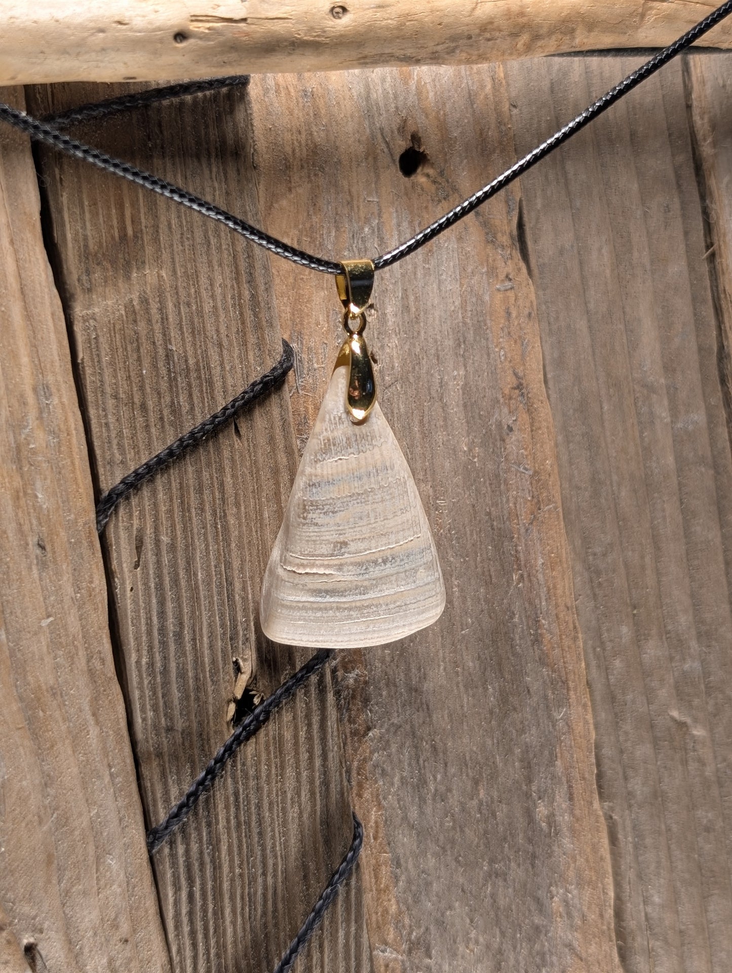 Clam Shell Necklace