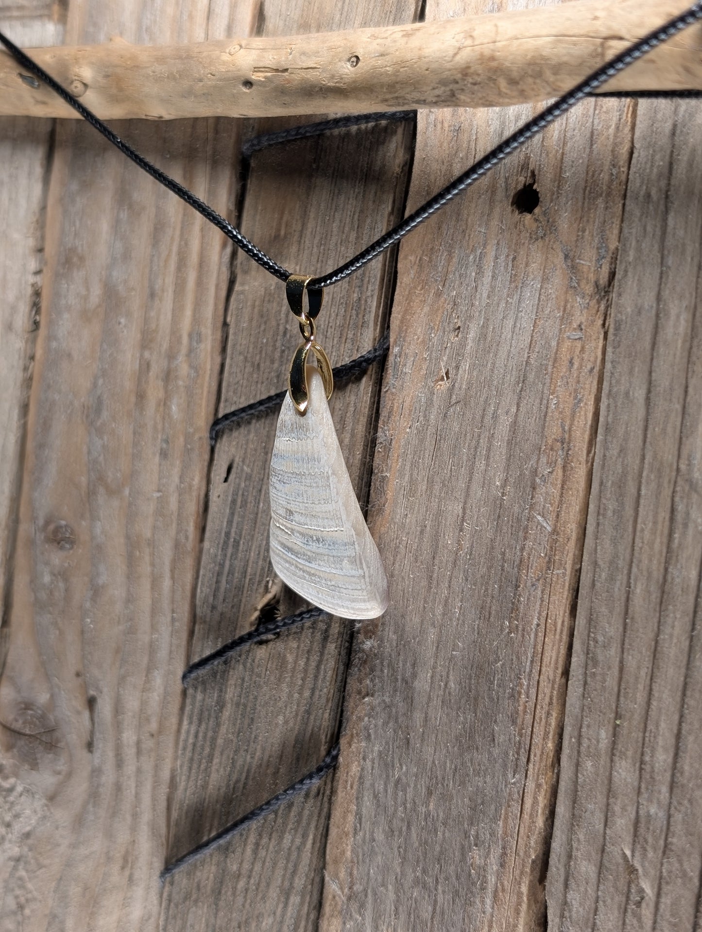 Clam Shell Necklace