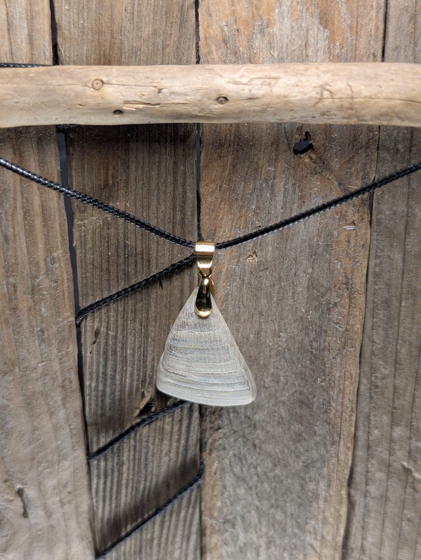 Clam Shell Necklace