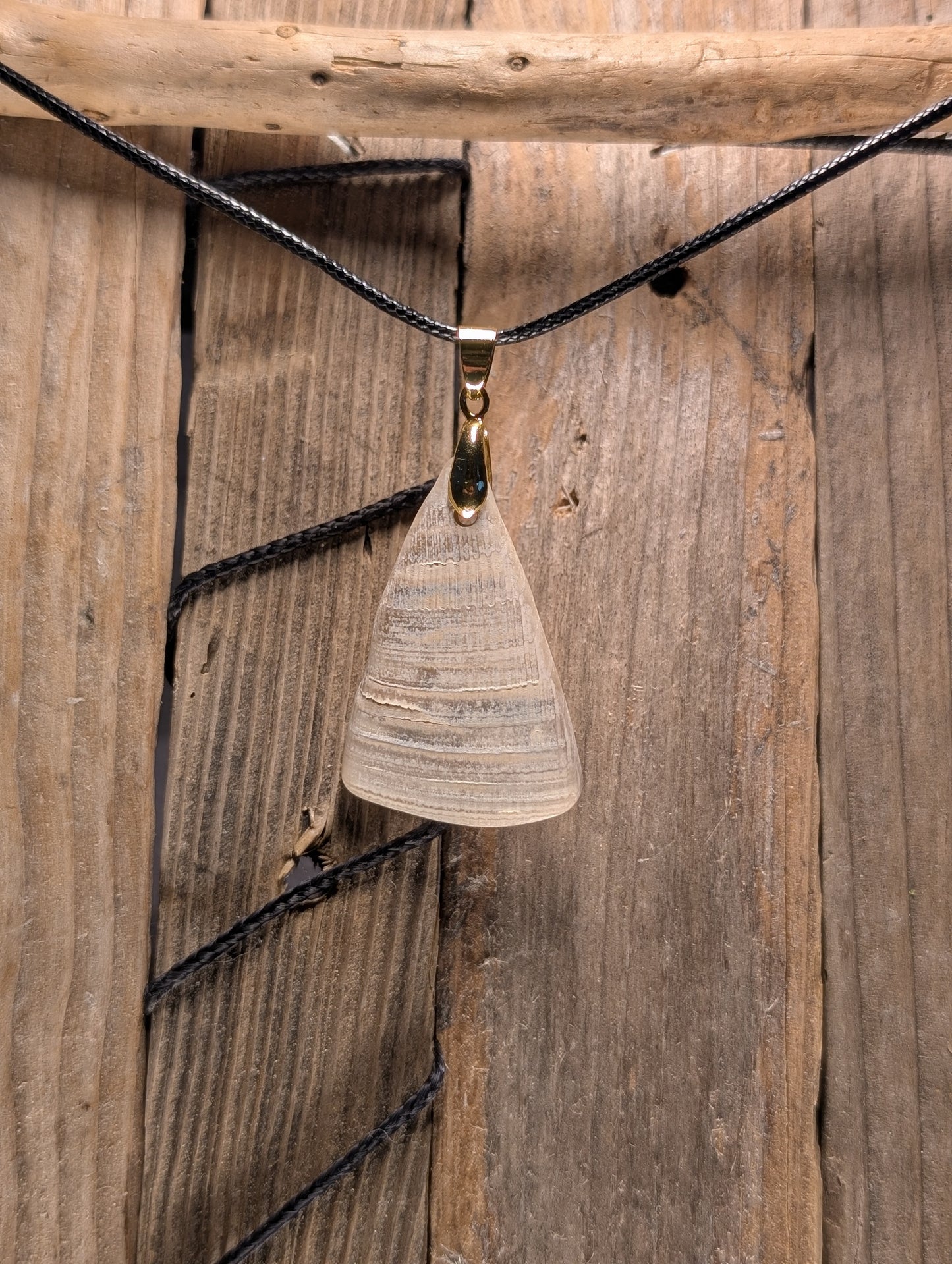 Clam Shell Necklace