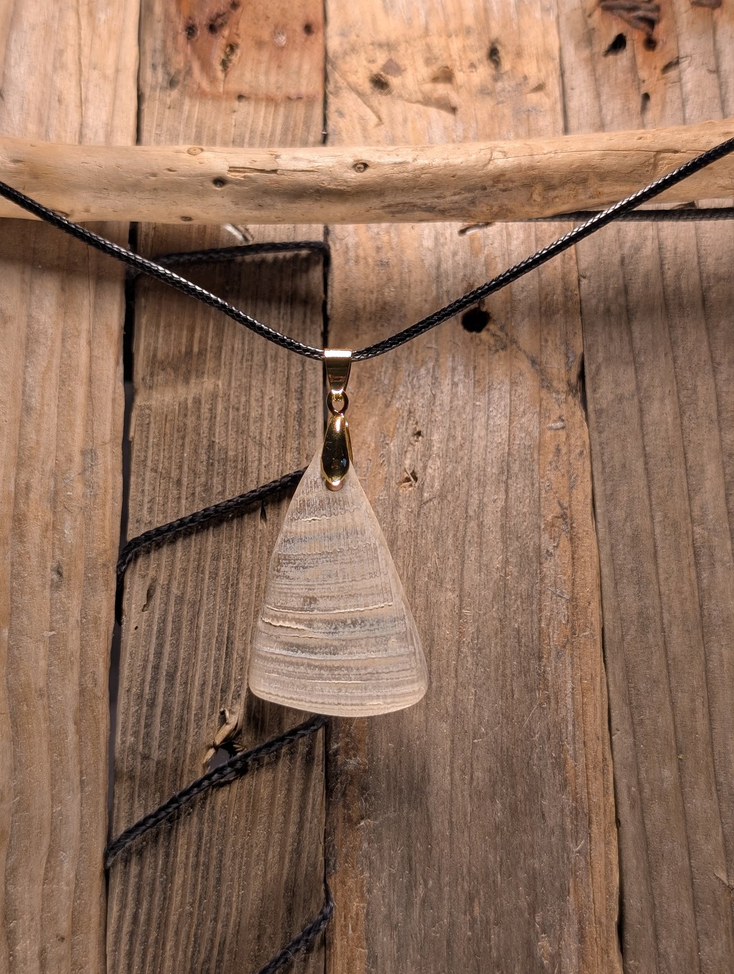 Clam Shell Necklace