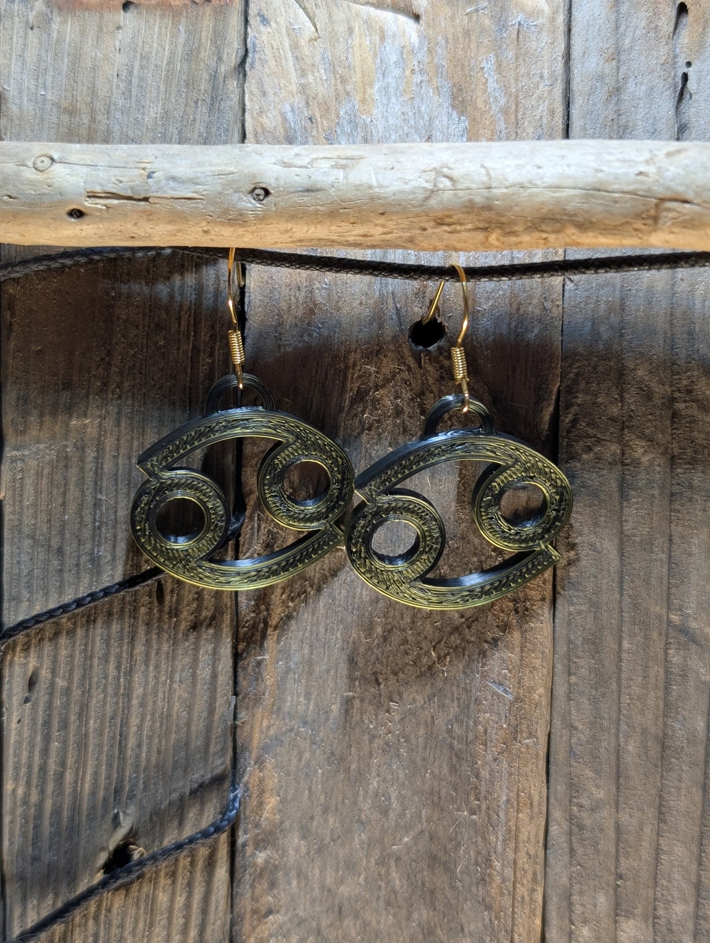 Zodiac Sign Earring
