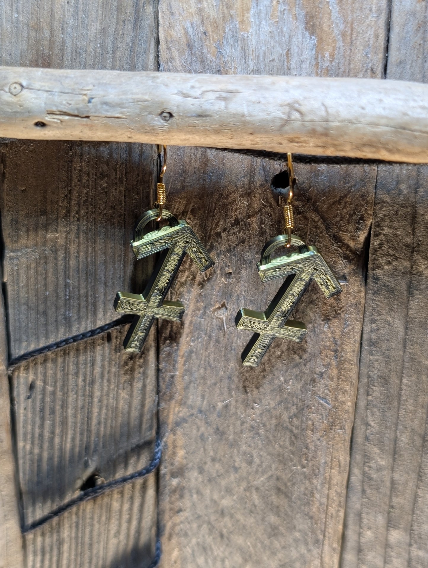 Zodiac Sign Earring
