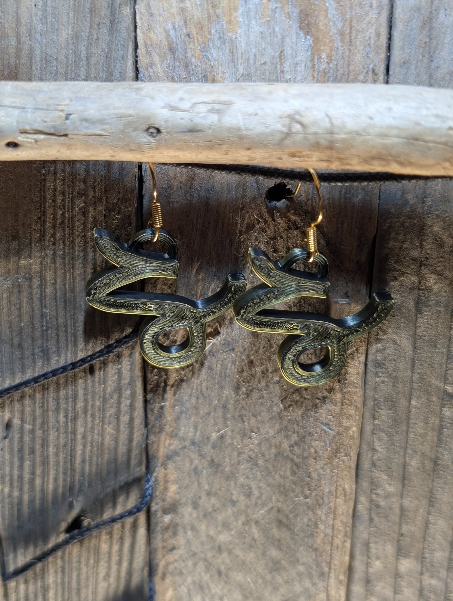 Zodiac Sign Earring