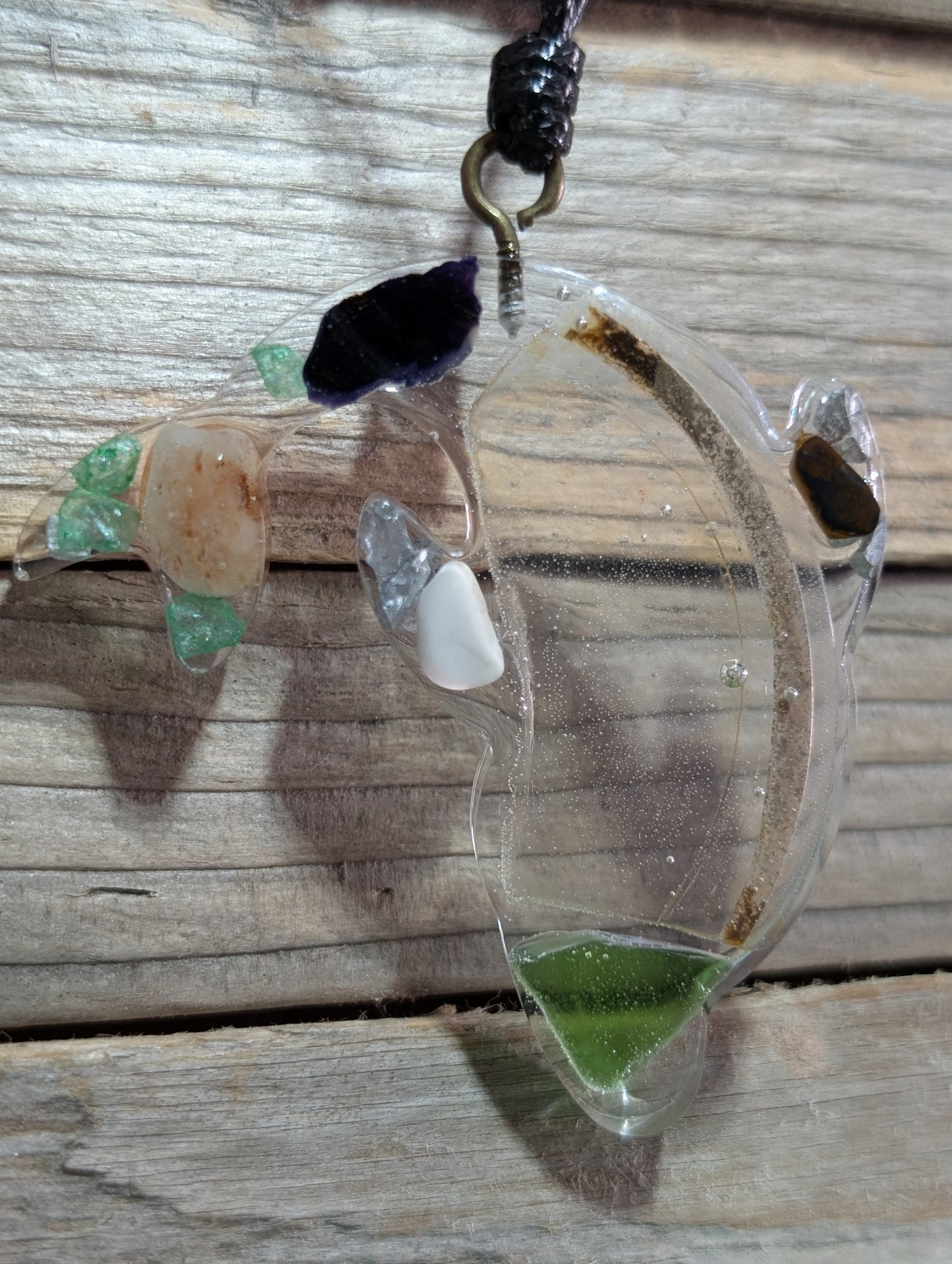 Clear Critter Findings