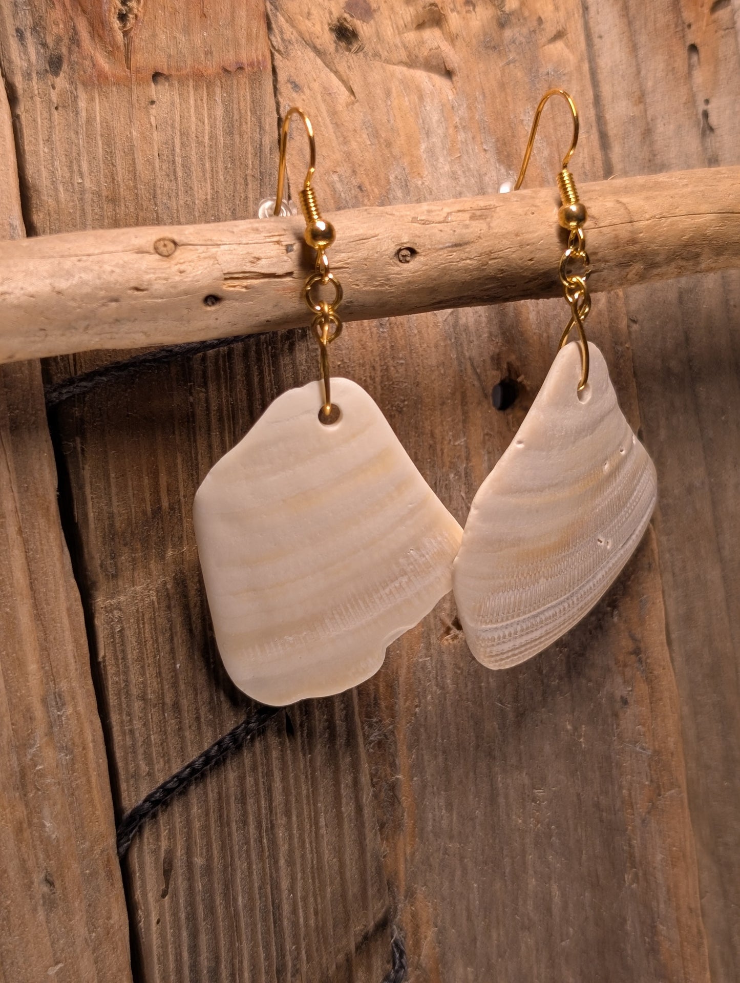 Clam Shell Earrings