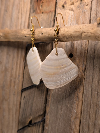 Clam Shell Earrings