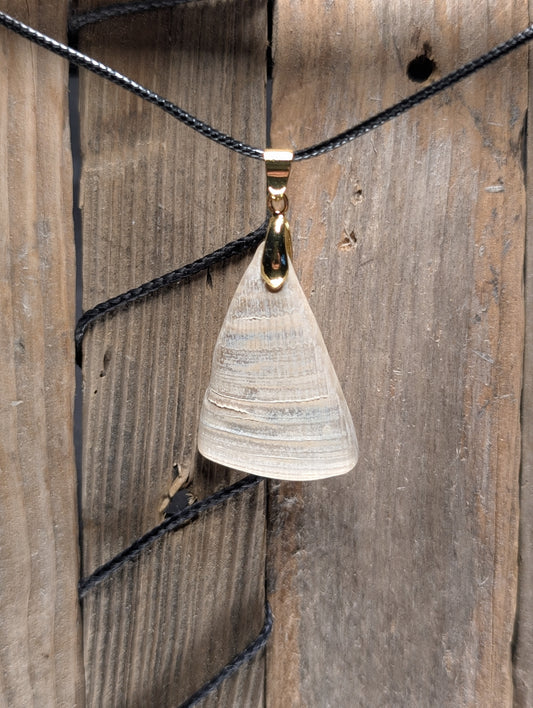 Clam Shell Necklace