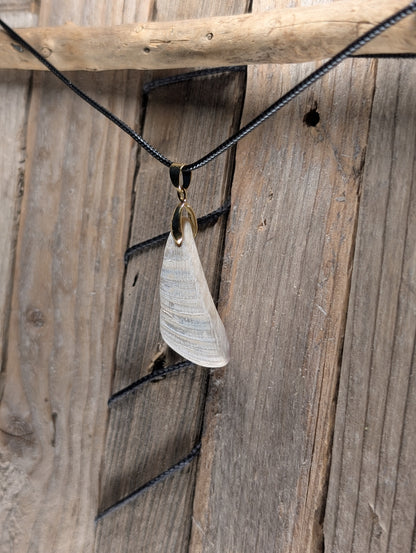 Clam Shell Necklace
