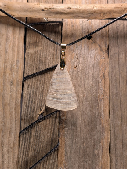 Clam Shell Necklace