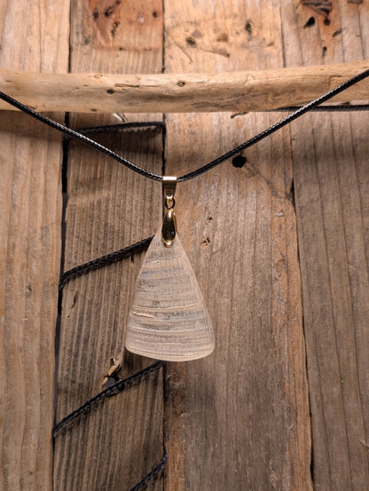 Clam Shell Necklace
