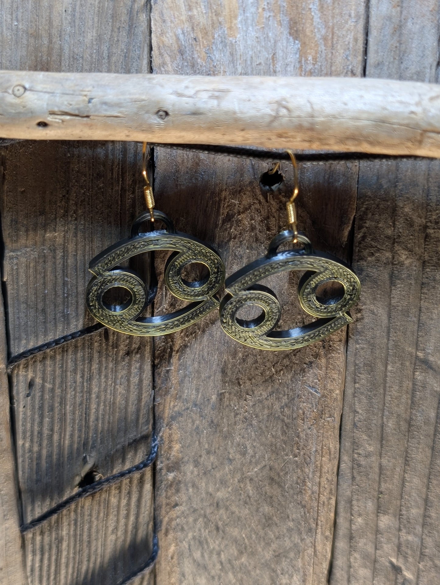Zodiac Sign Earring