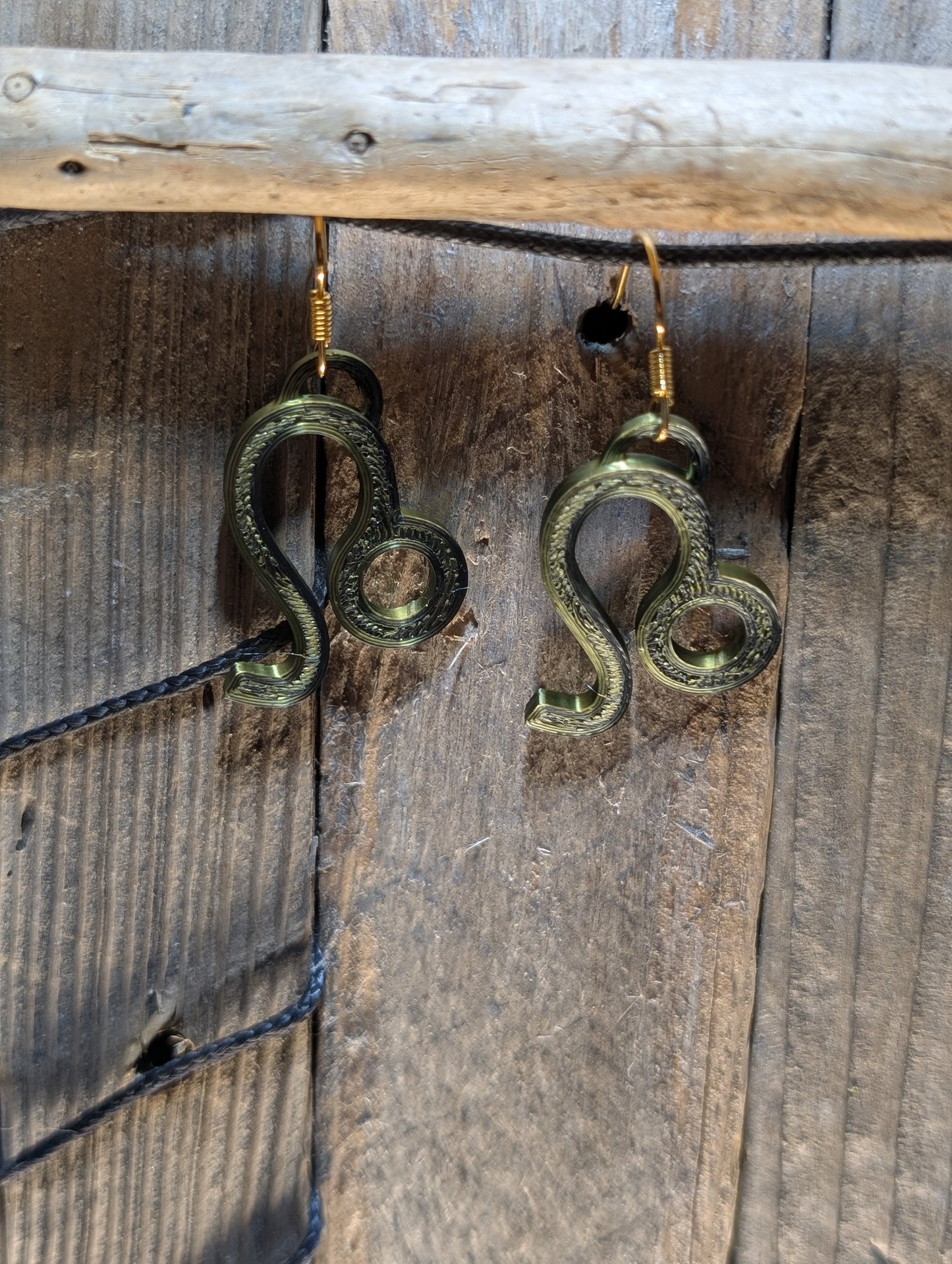 Zodiac Sign Earring