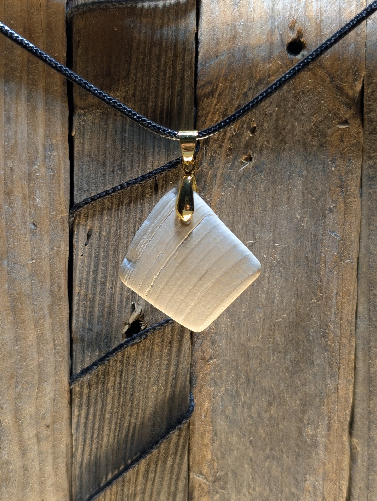 Clam Shell Necklace