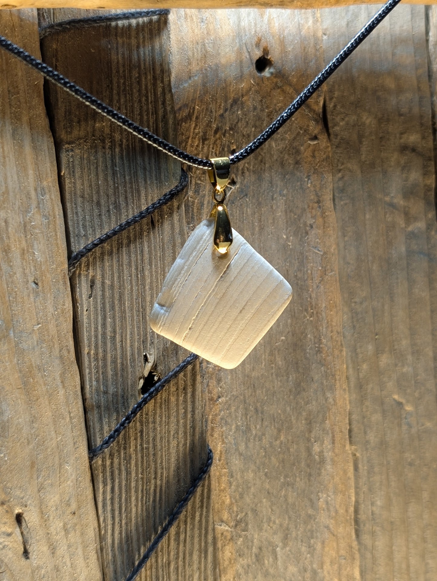 Clam Shell Necklace