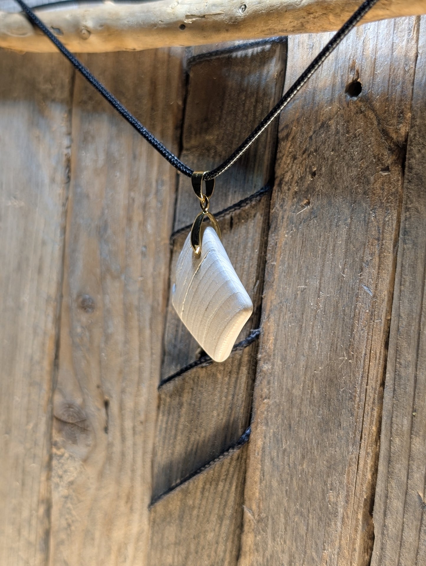 Clam Shell Necklace