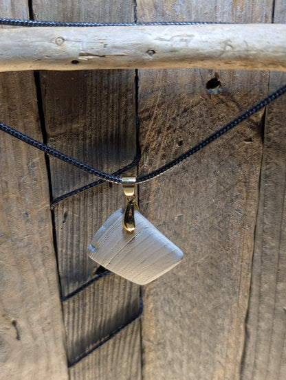 Clam Shell Necklace