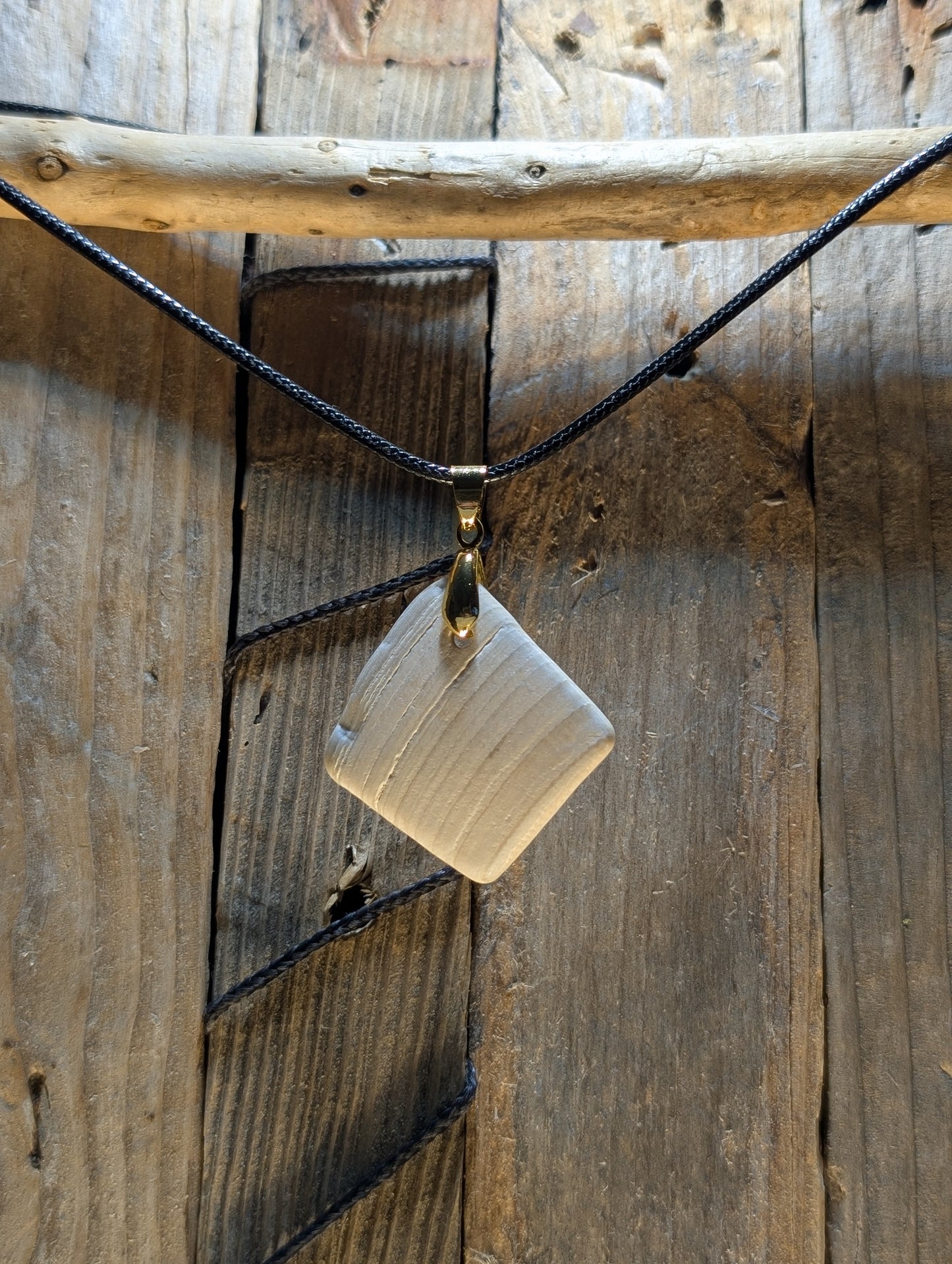 Clam Shell Necklace