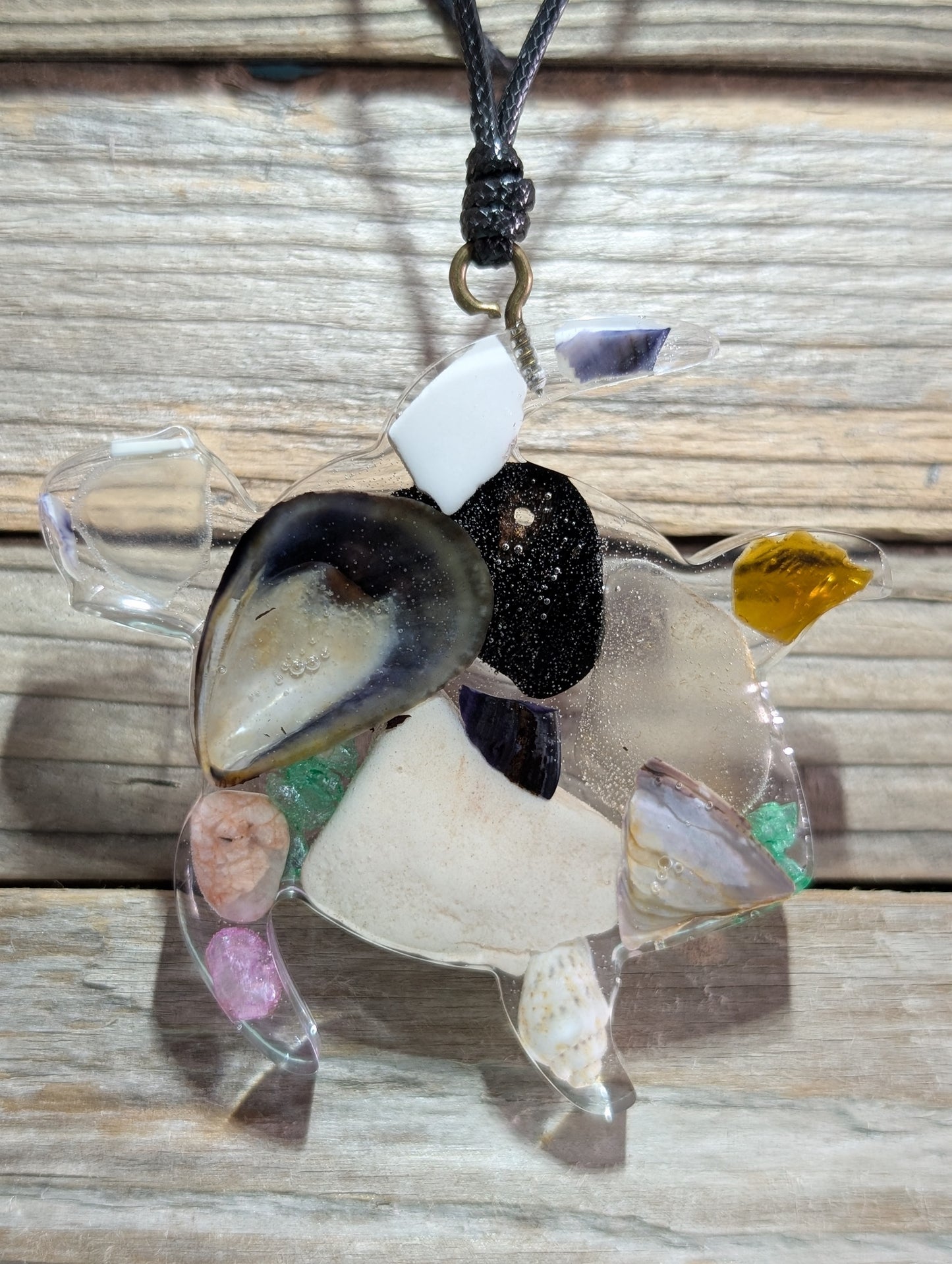 Clear Critter Findings