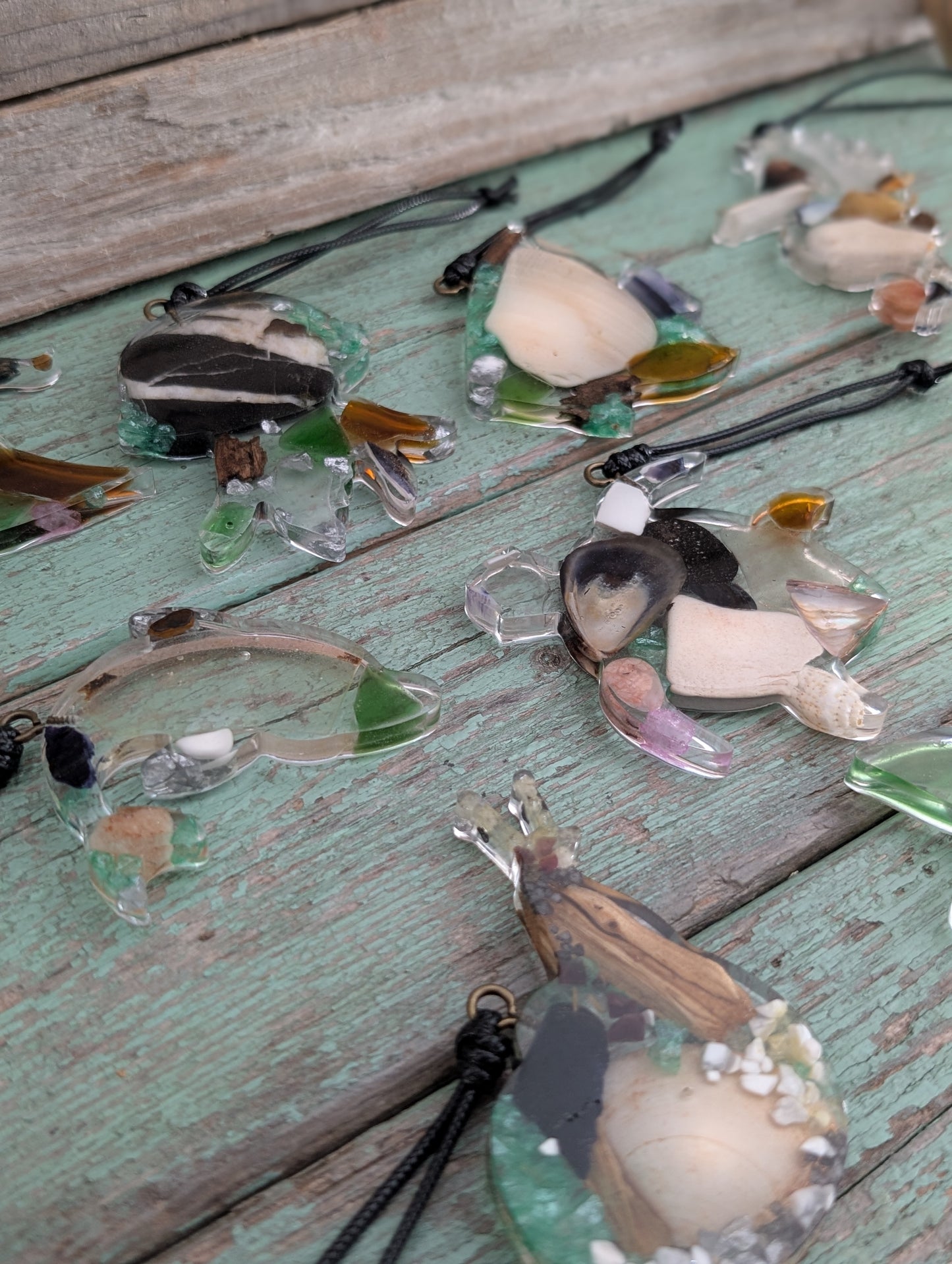 Clear Critter Findings