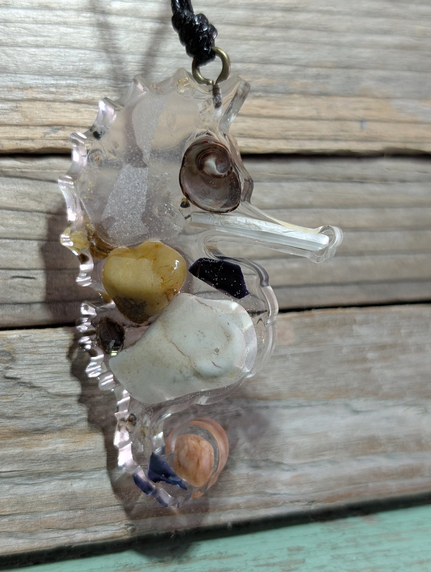 Clear Critter Findings