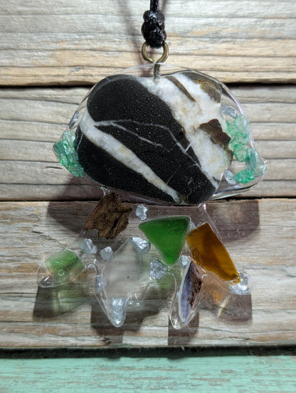 Clear Critter Findings