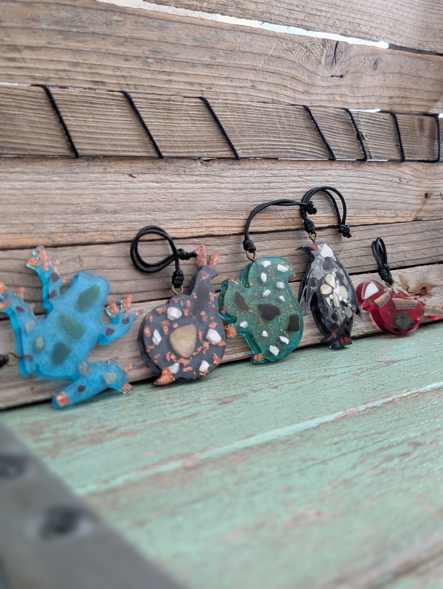 Colorful Critter Findings