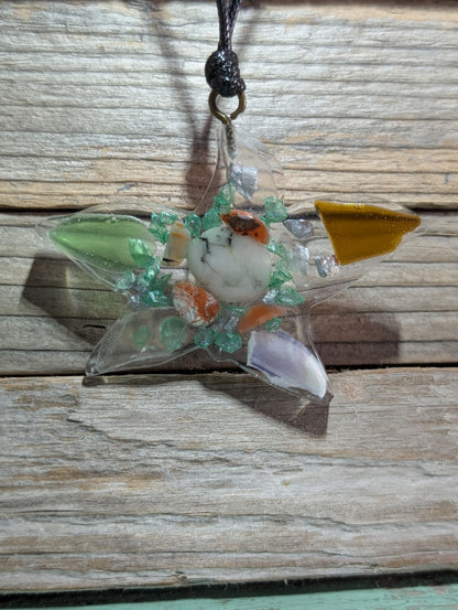 Clear Critter Findings