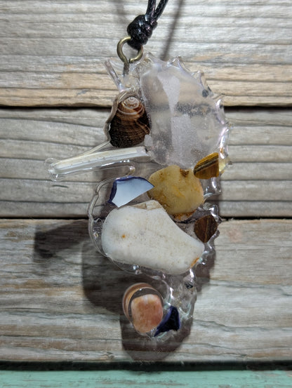 Clear Critter Findings