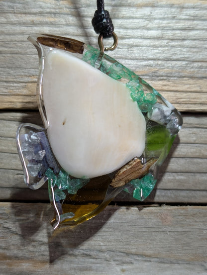 Clear Critter Findings