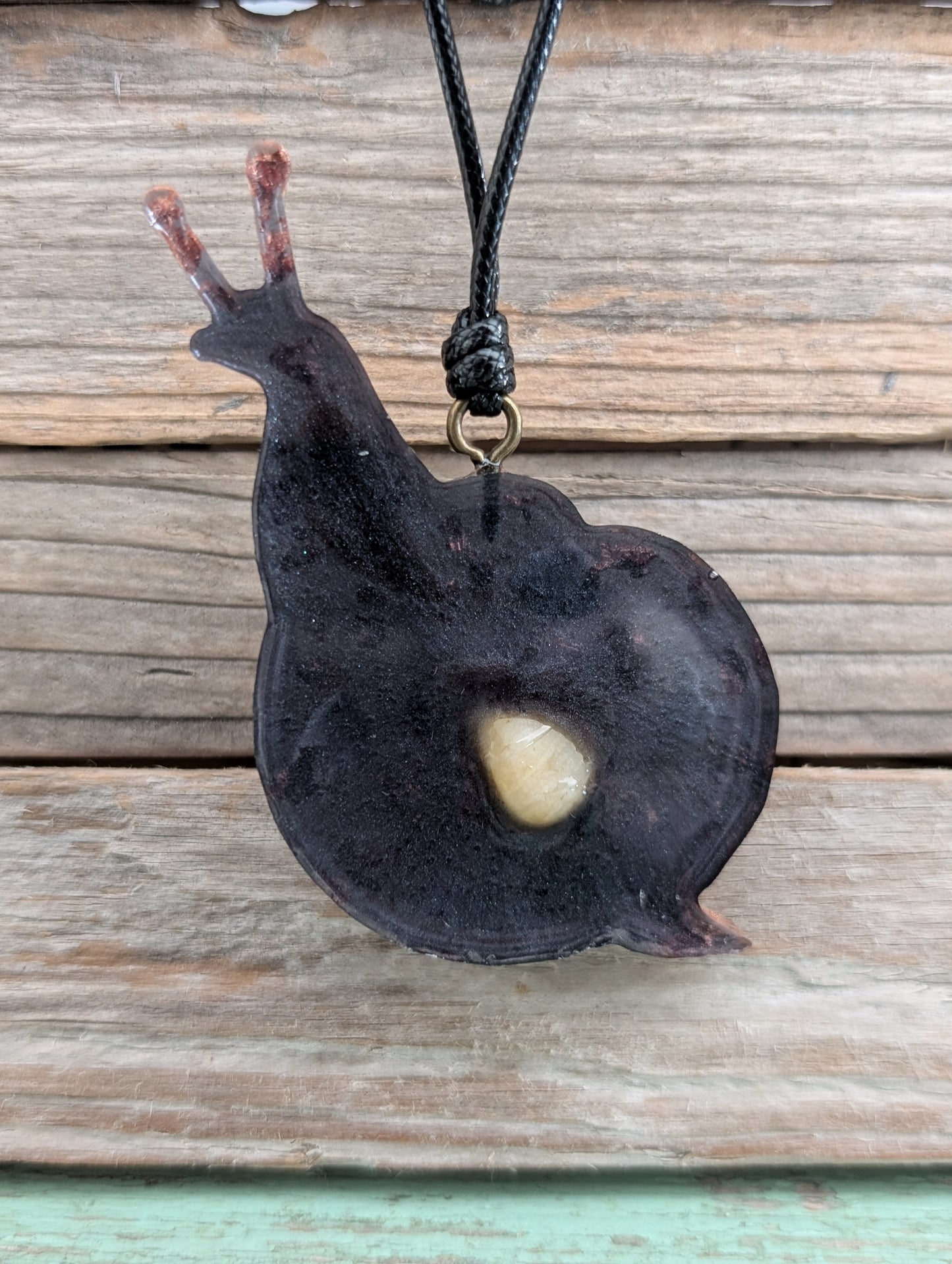 Colorful Critter Findings