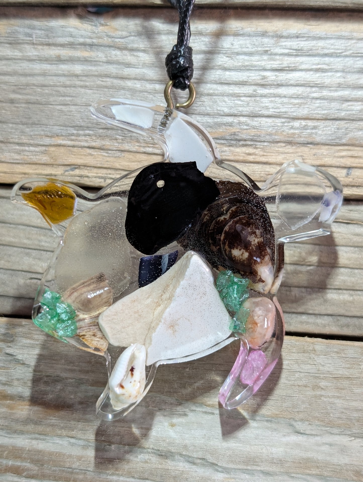 Clear Critter Findings