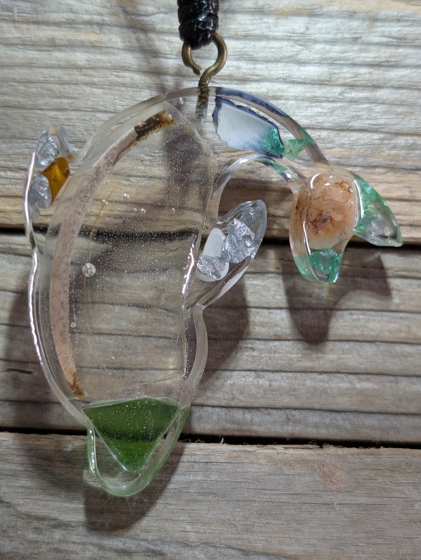 Clear Critter Findings