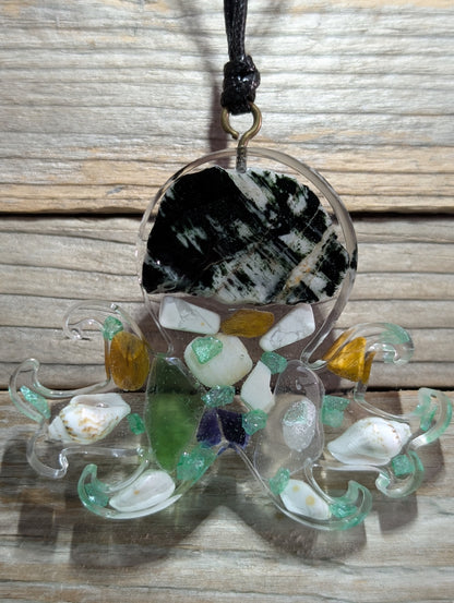 Clear Critter Findings