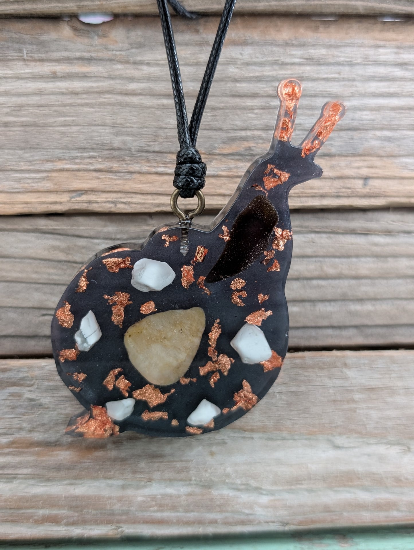 Colorful Critter Findings