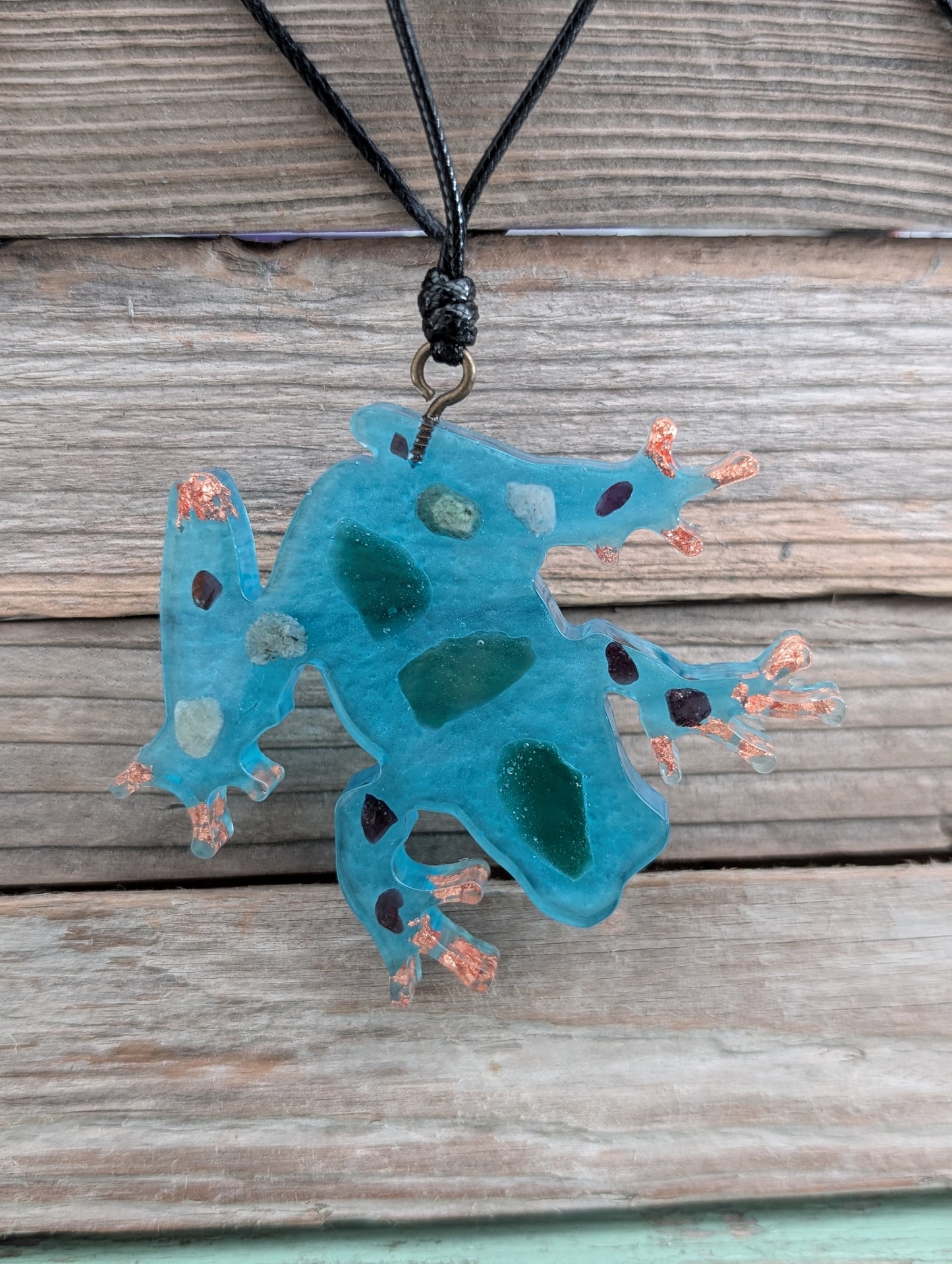 Colorful Critter Findings