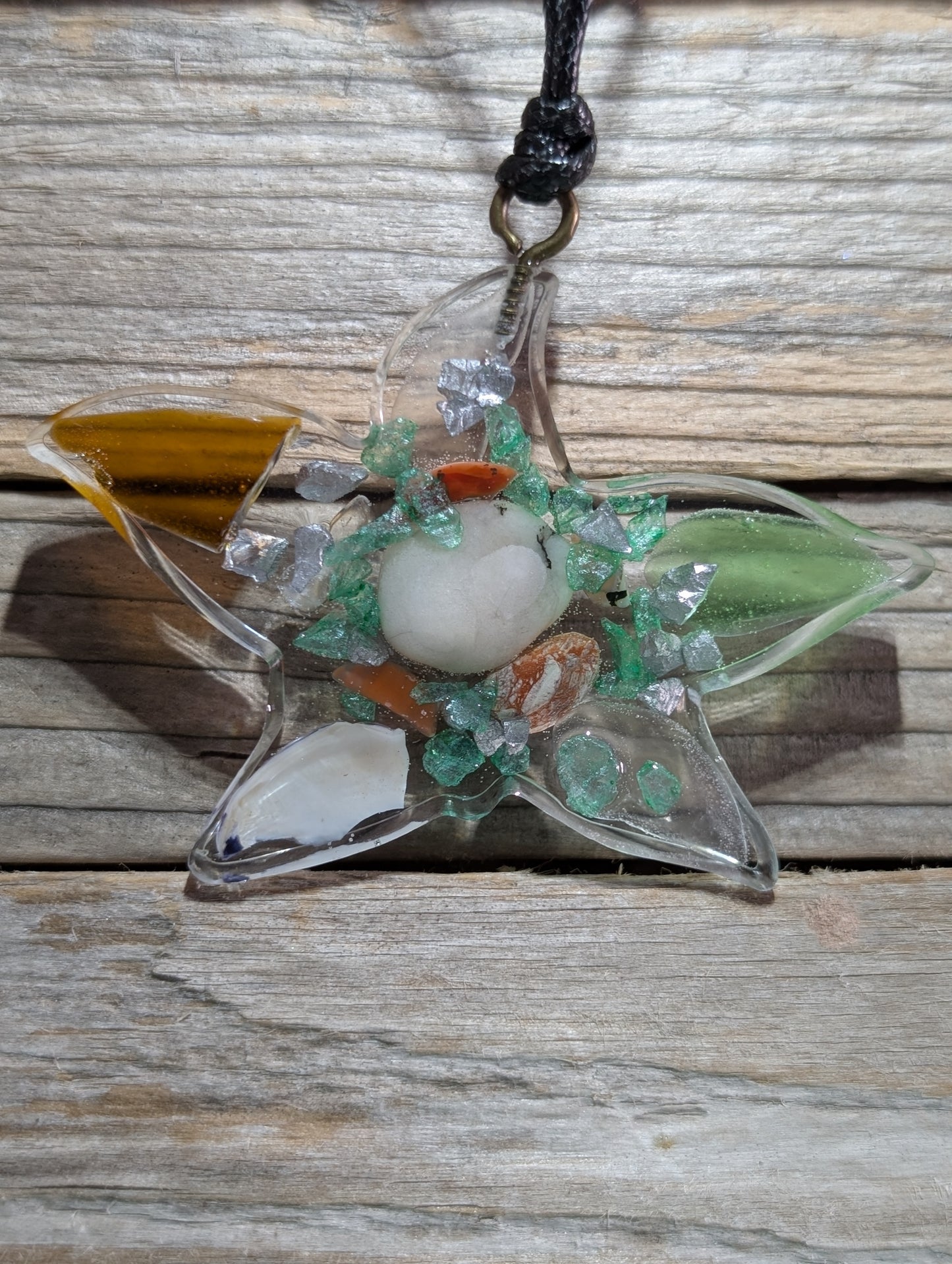 Clear Critter Findings