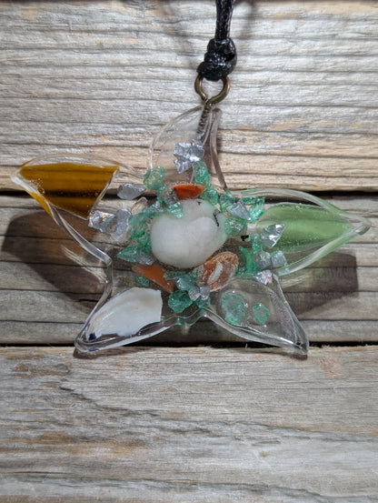 Clear Critter Findings