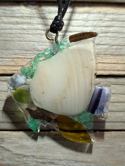 Clear Critter Findings