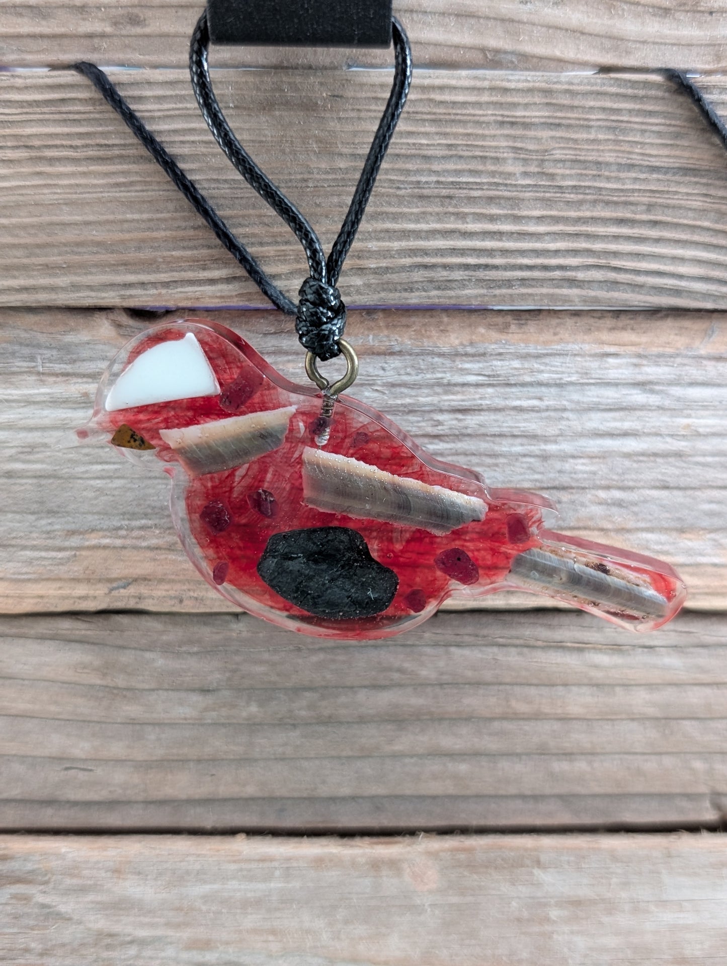 Colorful Critter Findings