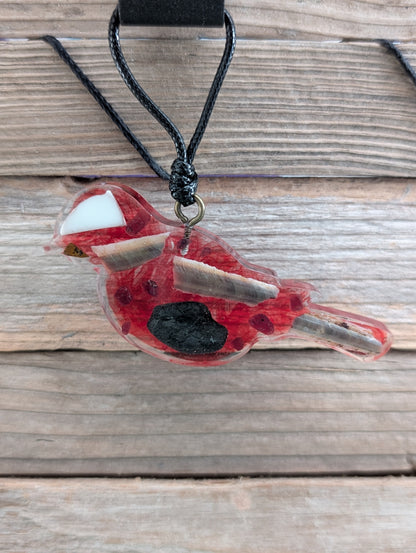 Colorful Critter Findings