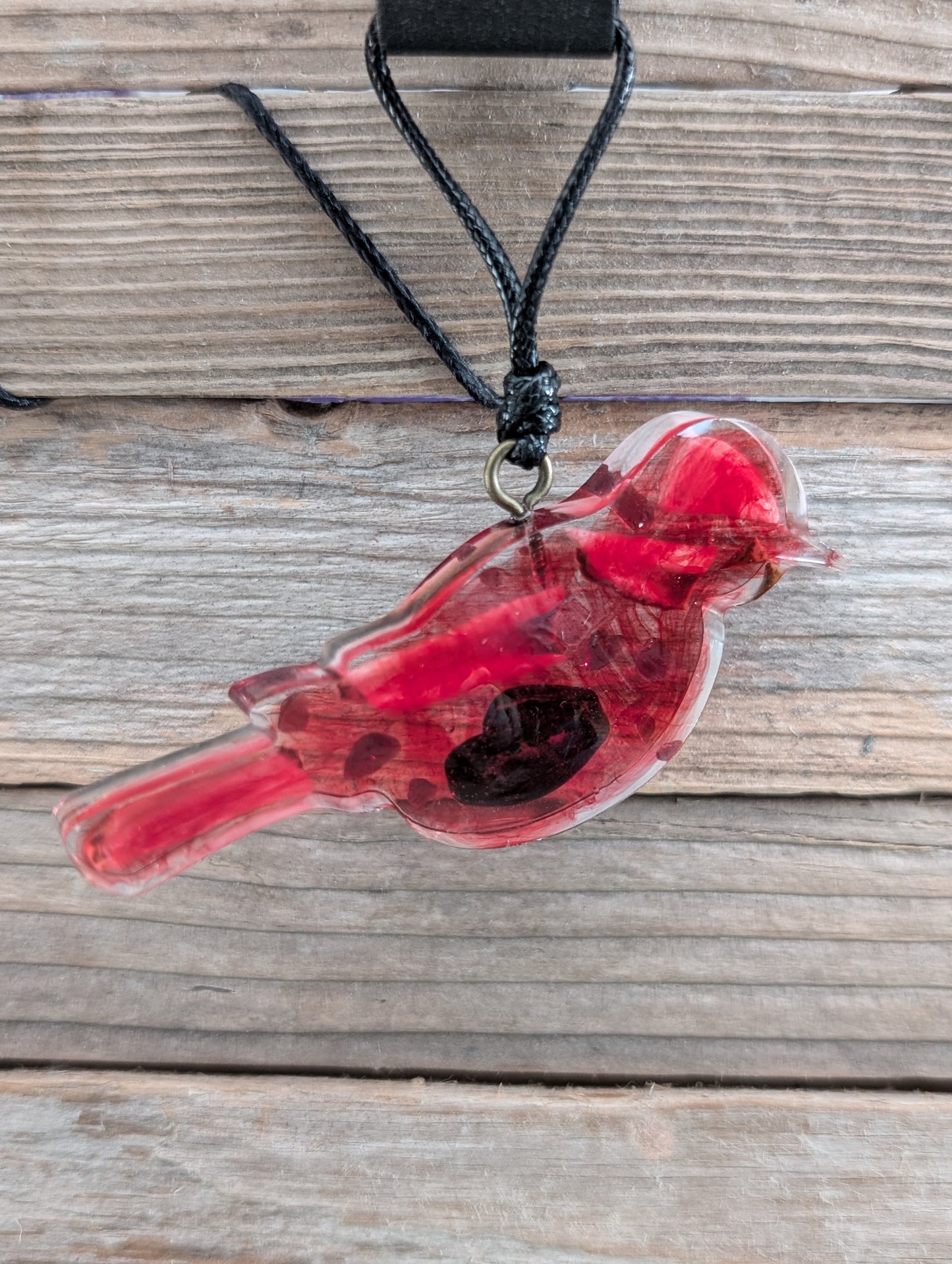 Colorful Critter Findings