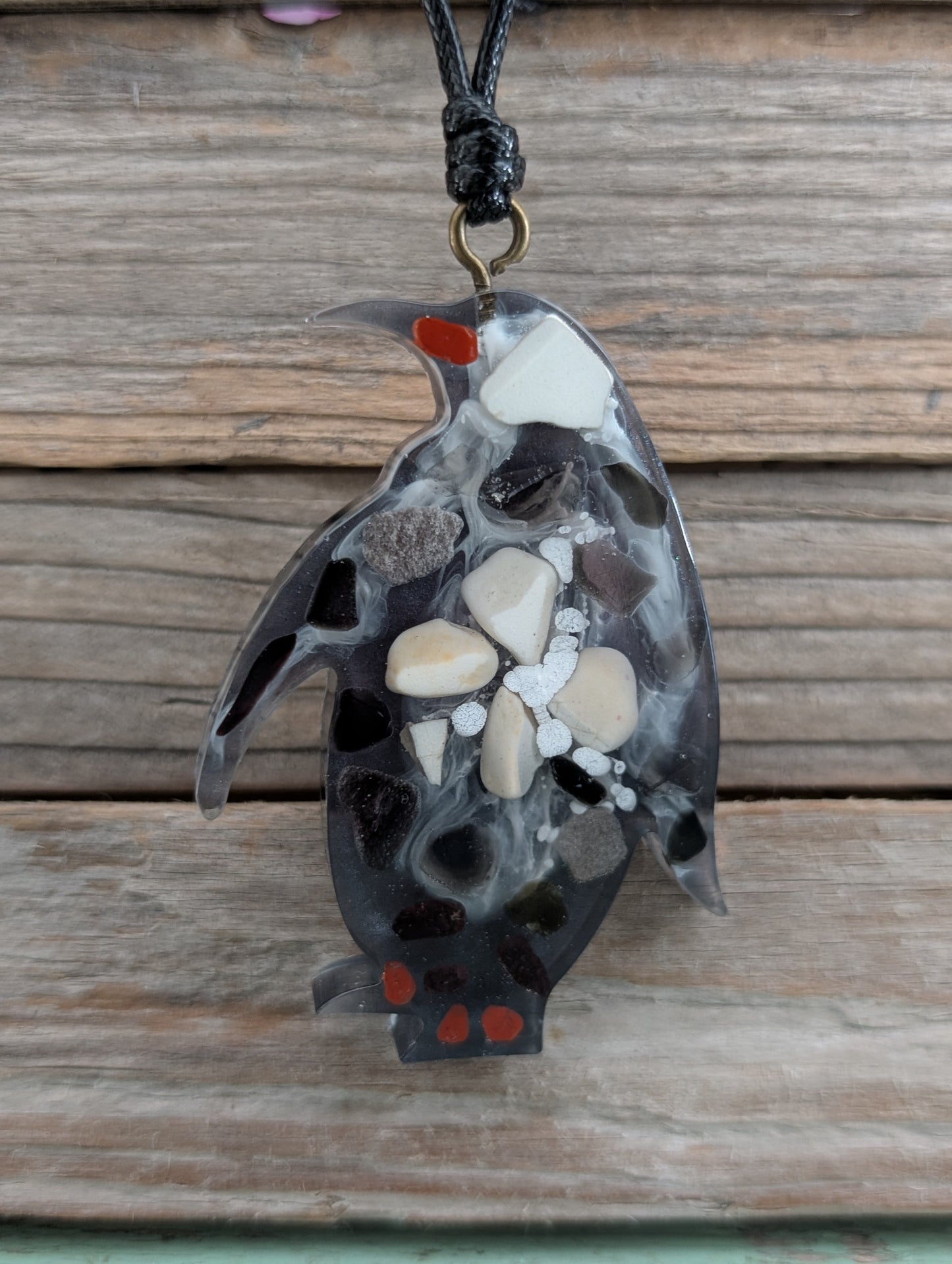 Colorful Critter Findings