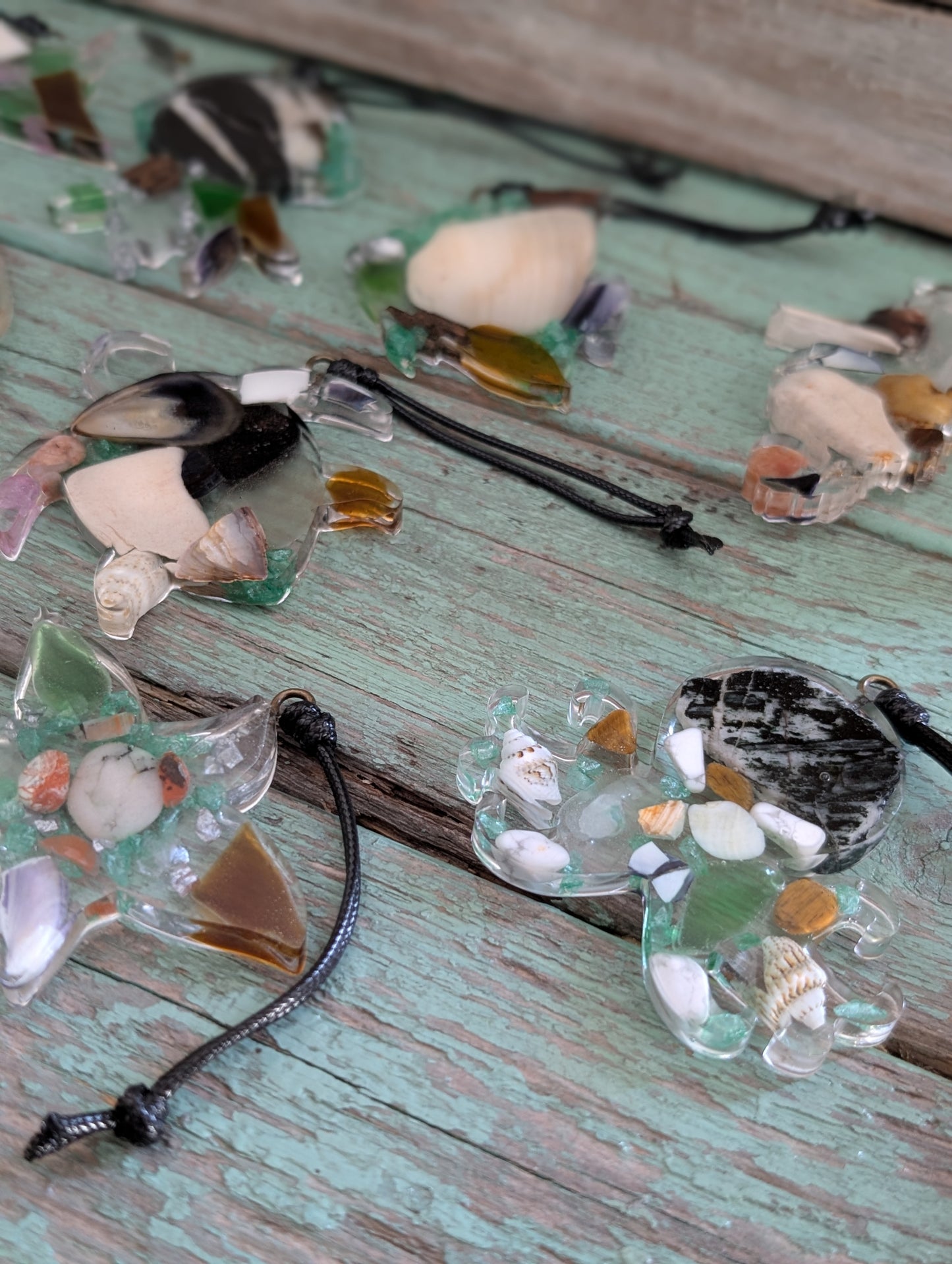 Clear Critter Findings