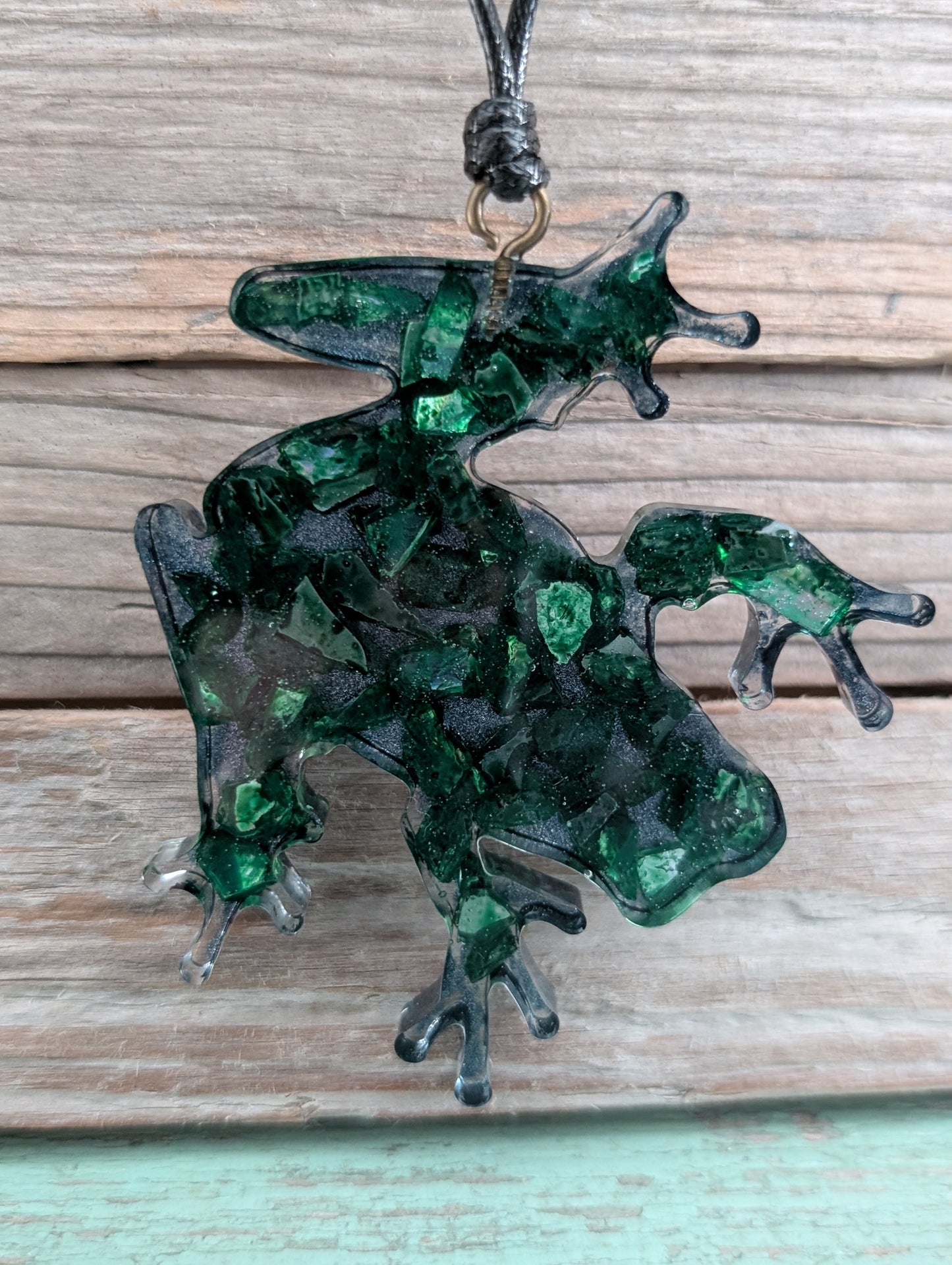 Colorful Critter Findings